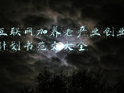 互联网加养老产业创业计划书范文大全