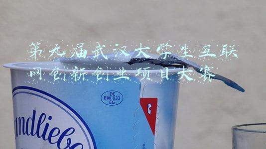 第九届武汉大学生互联网创新创业项目大赛