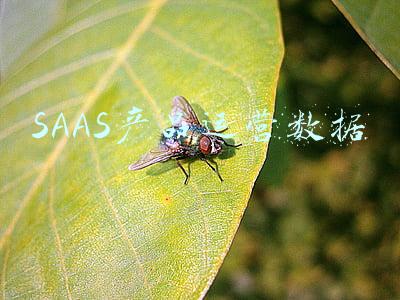 SAAS产品运营数据