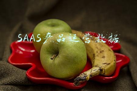 saas数据分析(一文读懂什么是SaaS)