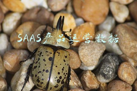 SAAS产品运营数据