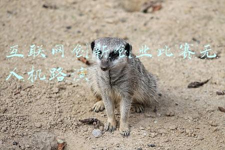 全国大学生无人机创新大赛(农业大学去搞飞行器？居然还在顶级赛事上拿了全奖！明年一定报考)