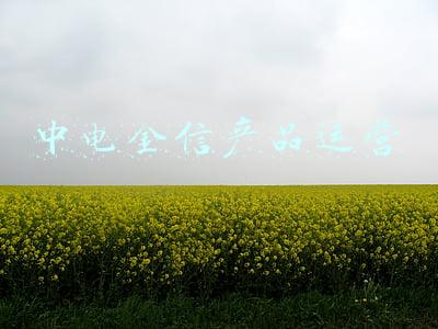 中电金信软件有限公司是国企吗(专访中电金信况文川：拥抱创新，推进金融数字化转型升级)
