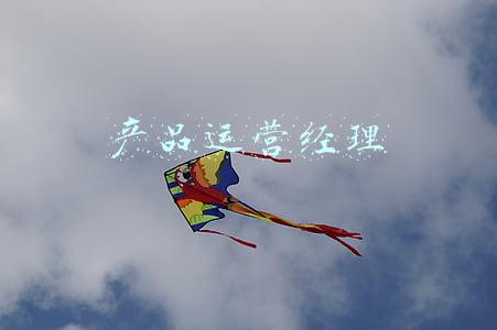 产品运营经理
