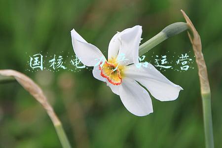 智慧能源 国核电力院(绿动世界，国家电投666)