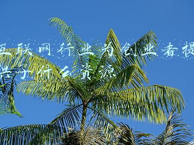 互联网行业为创业者提供了什么资源