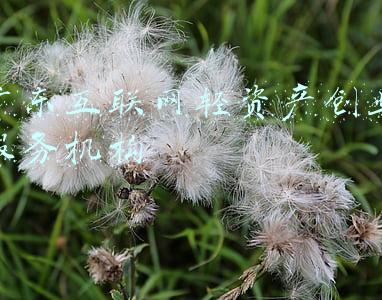 广东省中小企业融资平台注册(金融壹账通助力普惠金融，“中小融”平台潮州分站交出周年成绩单)