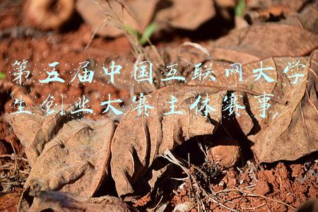 第五届中国互联网大学生创业大赛主体赛事