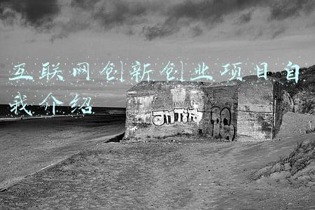 互联网创新创业项目自我介绍