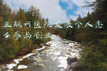 互联网医疗怎么做(除了卖药，互联网医疗还有什么新玩法？)