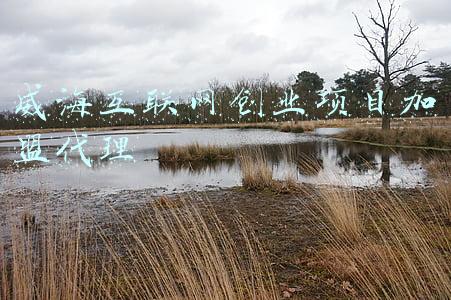 威海互联网创业项目加盟代理