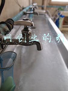 互联网创业的引导语