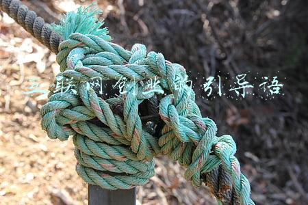 创业是什么导向(干货满满丨创业导向系统—构建终端渠道)