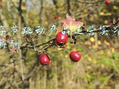 字节跳动产品运营实习薪酬