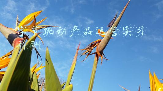 字节跳动研发岗待遇(字节跳动财务招聘更新！月薪22000起！奖金待遇一流，但要求是...)