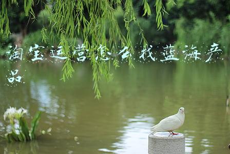 淘宝运营怎么找蓝海产品 淘宝运营怎么找蓝海产品