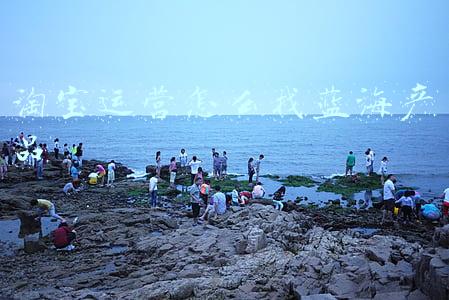 淘宝运营怎么找蓝海产品 淘宝运营怎么找蓝海产品