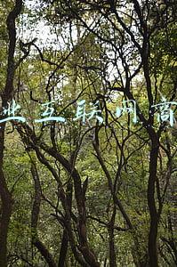 创业互联网商业
