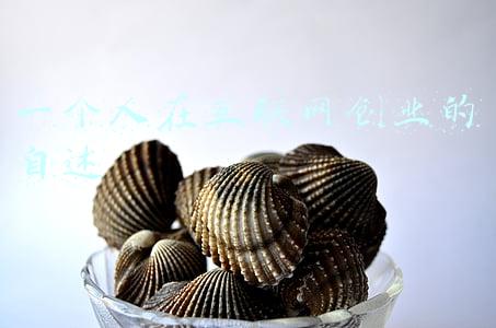 纳税人自述材料范文(一张发票的自述~)