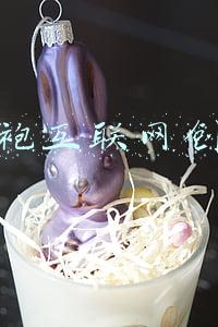 旗袍店加盟(唐嫣加盟湖南卫视元宵 定制旗袍演绎上海风情)