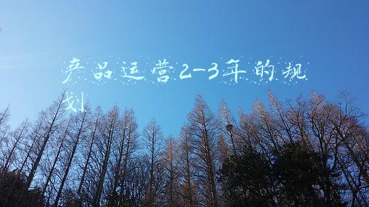 产品运营2-3年的规划
