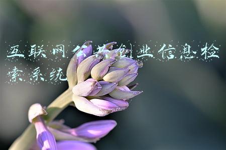 全国创业服务网(第十一届“中国青年创业奖”揭晓)