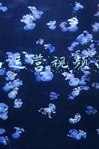 为什么想做产品运营 面试(面试官问你为什么想做电商运营，是想问什么)