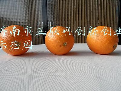 济南市互联网创新创业示范园