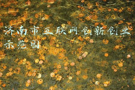 济南孵化基地创业园(济南首家大学生电子商务创业园蜂巢孵化器正式开园)