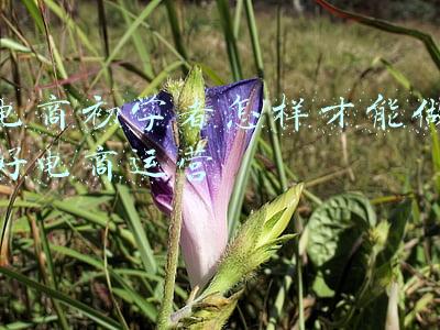 电商初学者怎样才能做好电商运营