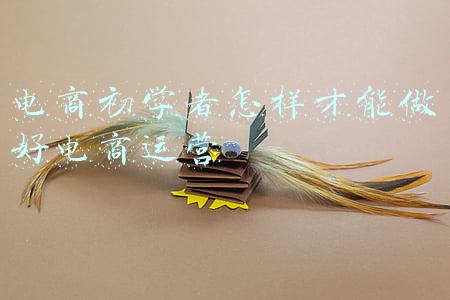 电商初学者怎样才能做好电商运营