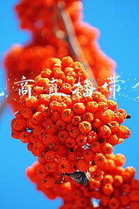 地摊货卖什么最好卖(摆地摊什么好卖又挣钱（6种地摊生意带你月入上万）)