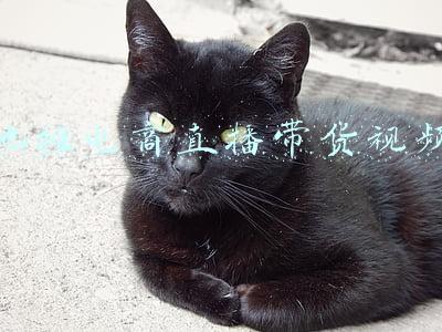 地摊电商直播带货视频
