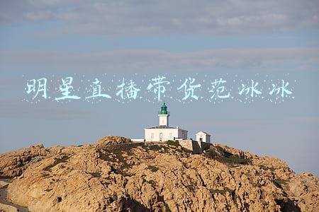 明星直播带货范冰冰