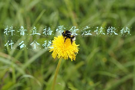 抖音直播带货应该注册什么公司(2021下半年抖音代运营公司十大排名)