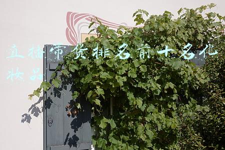 直播带货排名前十名化妆品