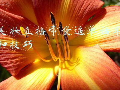 美妆直播带货逼单话术和技巧