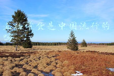 中国邮政直播带货(咸宁邮政直播带货为农特产品打call)