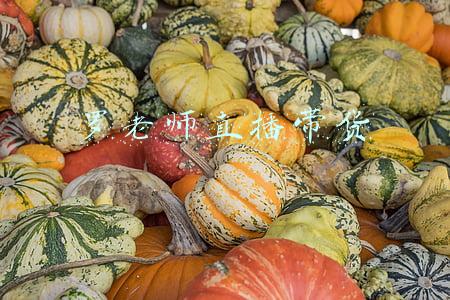 罗老师直播带货