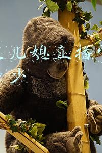朱之文儿媳直播带货月收入多少