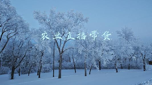 农业直播带货的典型案例(田间地头直播带货 这对新农人夫妇把富硒大米“玩”出新花样)