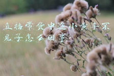 直播没有小黄车啦咋回事(入局直播带货，消息称B站一周内将上线“小黄车”)