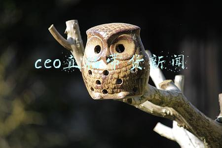 ceo直播带货新闻