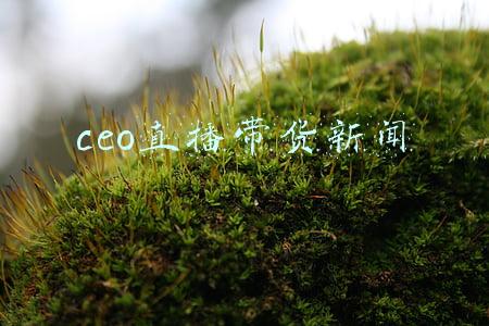 ceo直播带货新闻