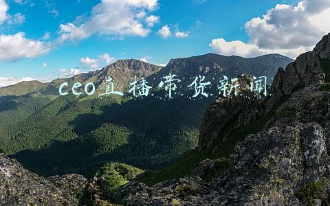 ceo直播带货新闻