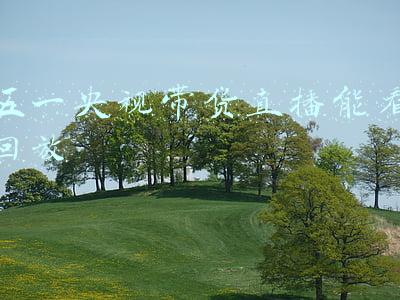 五一央视带货直播能看回放