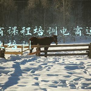 电商课程培训电商运营专业培训