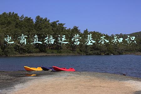 电商直播运营方案(企业品牌直播电商运营方案团队管理计划书，新手主播技巧话术脚本)