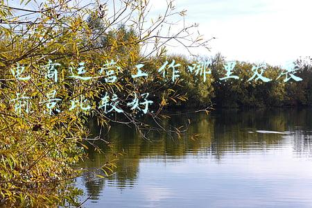 如何看待电商运营行业未来前景(2022年，电商迎来大变局)