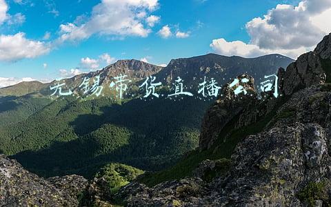 苏州直播带货公司(江苏苏州：20万买直播带货服务后销售额仅456元 法院：服务费用需按约等比退还)